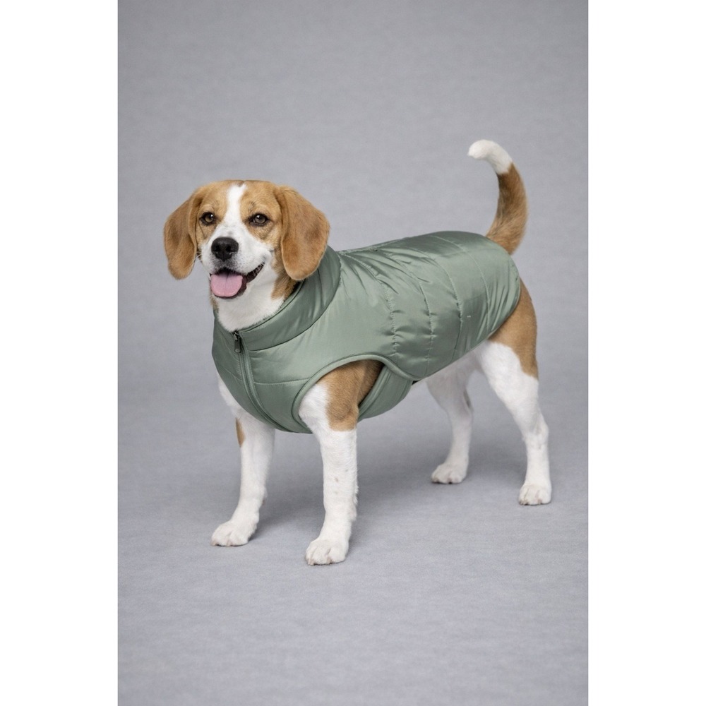 Boots & Barkley Dog Puffer Jacket with Buckle Green Size XL - Picture 5 of 6